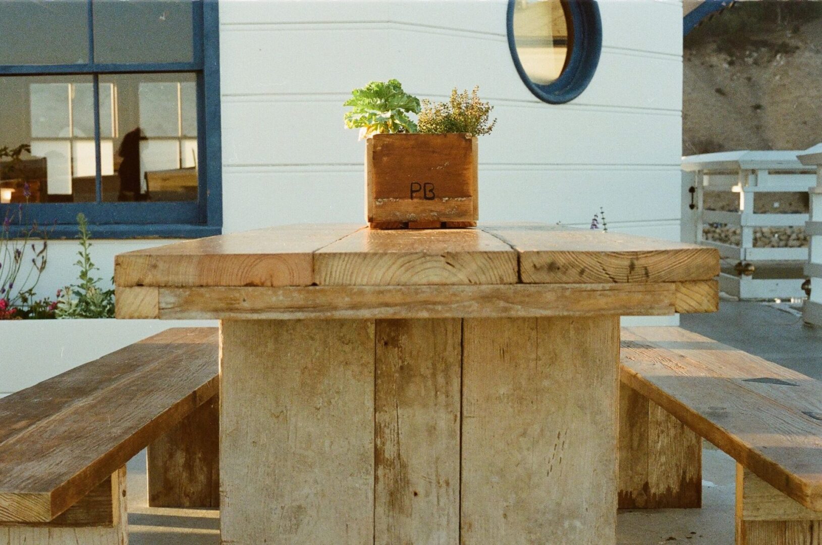 A table with plants on top of it